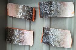 coho-salmon-portions-skin-on-1